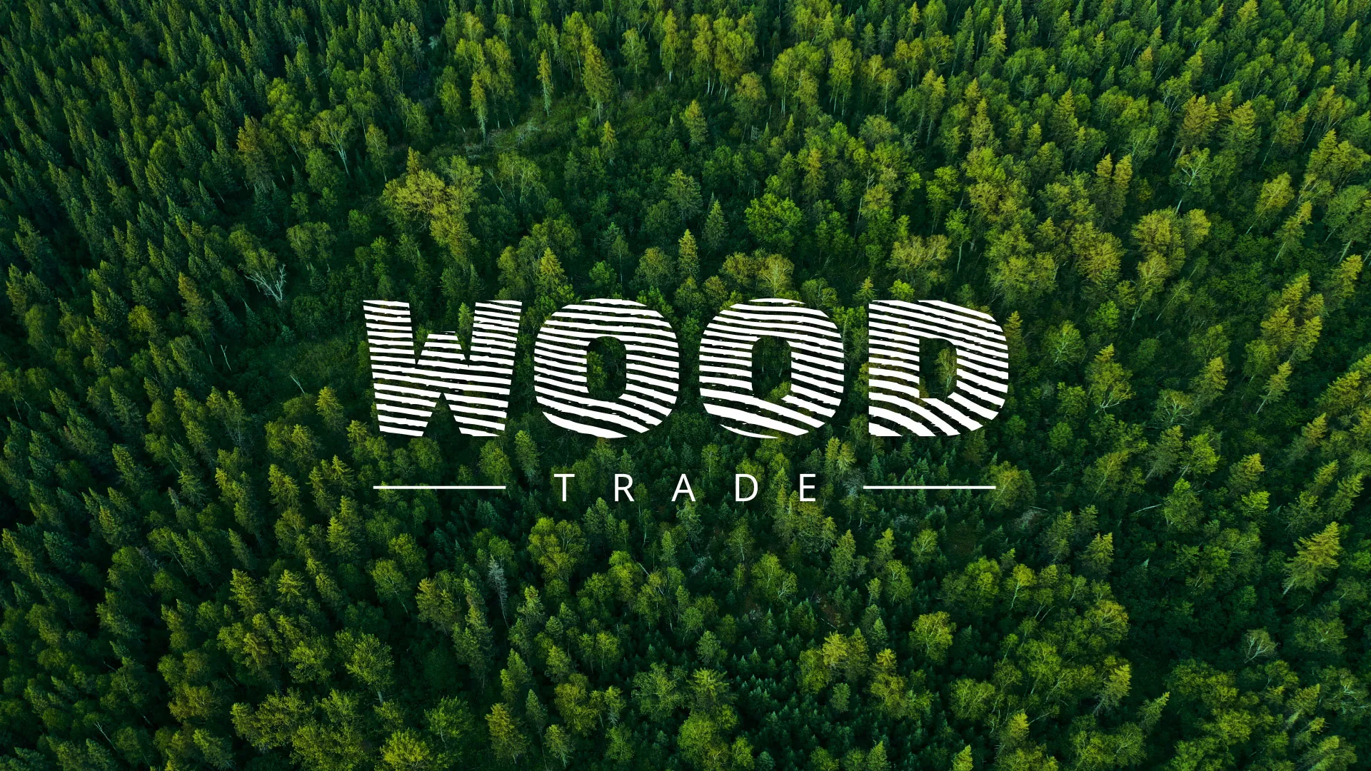 Разработка интернет-магазина компании «Wood Trade» в Кимовске